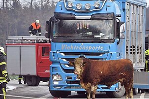 78953_8.jpg