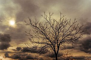 89494_8-1.jpg