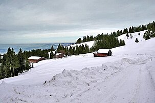 32874_8.jpg