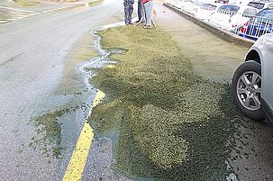 43094_8.jpg