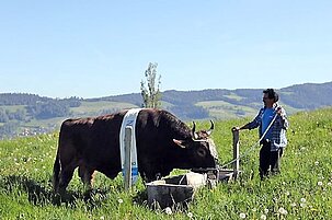 82412_8-1.jpg