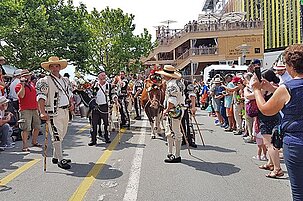 83319_8.jpg