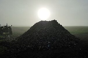 88333_8.jpg