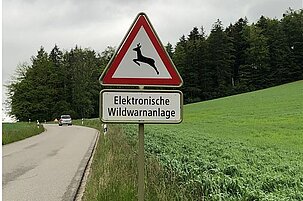 85537_8.jpg