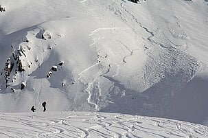 68923_8.jpg