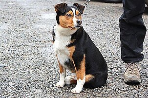 89717_8.jpg