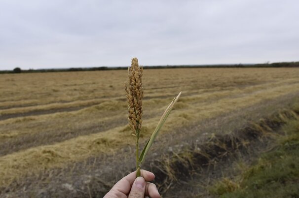 ce77eed7-a68d-a194-f422-457fae0de007-23455-scaled.jpeg