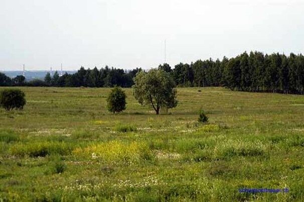 23218_8.jpg