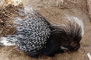 30807_8.jpg