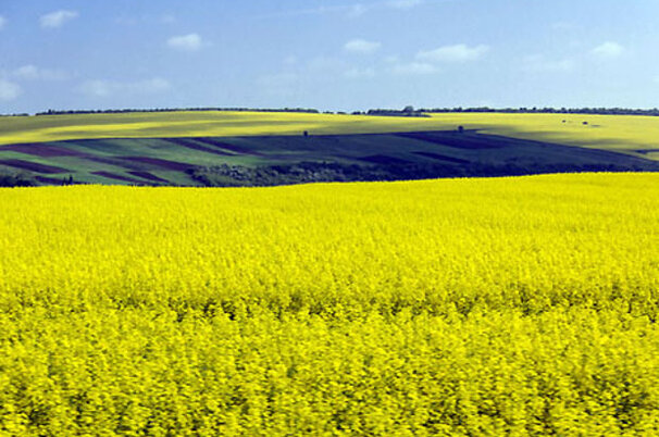 6789_8.jpg