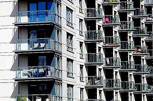 89519_8.jpg