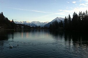 40251_8.jpg