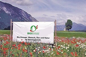 50270_8.jpg