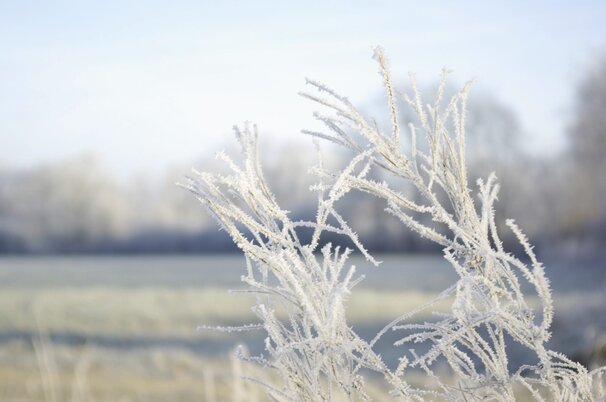 7952889f-f64f-bcde-38ac-899181f781c2-63946-scaled.jpeg