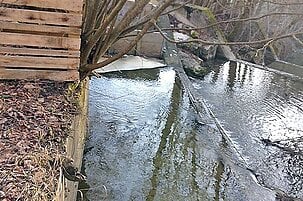 80297_8.jpg