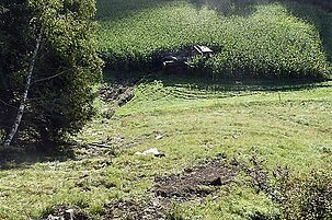 84189_8.jpg
