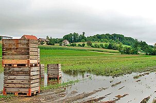 39429_8.jpg