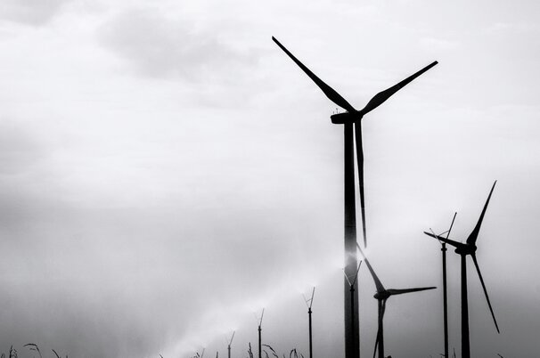 183570fe-5678-1bfa-8b19-77689c903b56-27676.jpeg