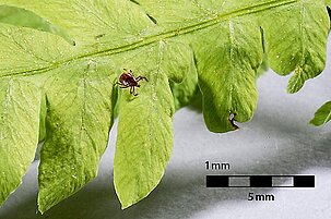 54076_8.jpg