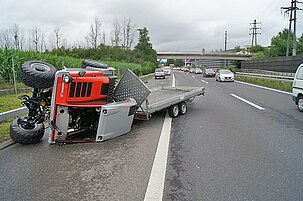 41791_8.jpg