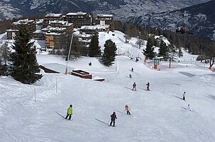 79645_8.jpg
