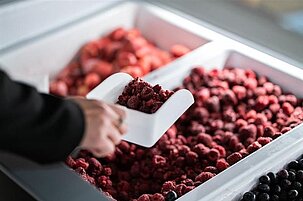 85709_8.jpg