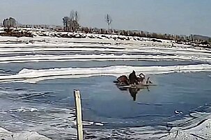 7800d52e-e1a4-f8e2-f5b6-1954052803c3-69994.jpeg