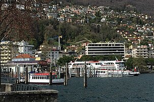 86331_8.jpg