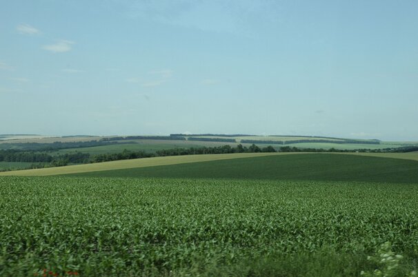 60d5ca06-5da9-da10-8cec-6a6d4c533c16-109713.jpeg