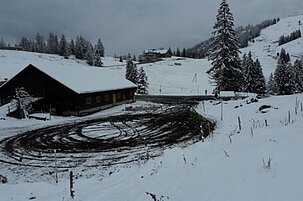59108_8.jpg