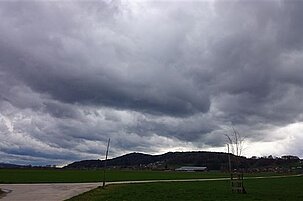 65782_8.jpg