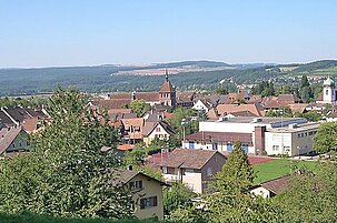 84314_8.jpg