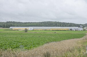 c3d7739a-3879-86f8-25ce-bdbd1d186a83-83813.jpeg