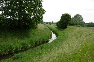 45118_8.jpg