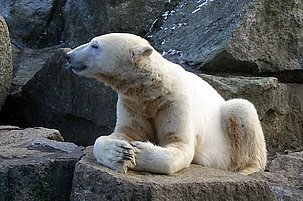 54069_8.jpg