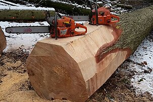 80384_8.jpg
