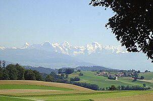 55303_8.jpg