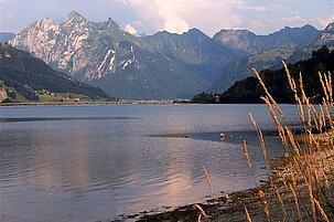 91854_8.jpg