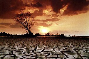 30089_8.jpg
