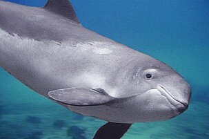 64379_8.jpg