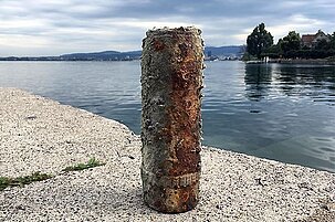 83179_8.jpg