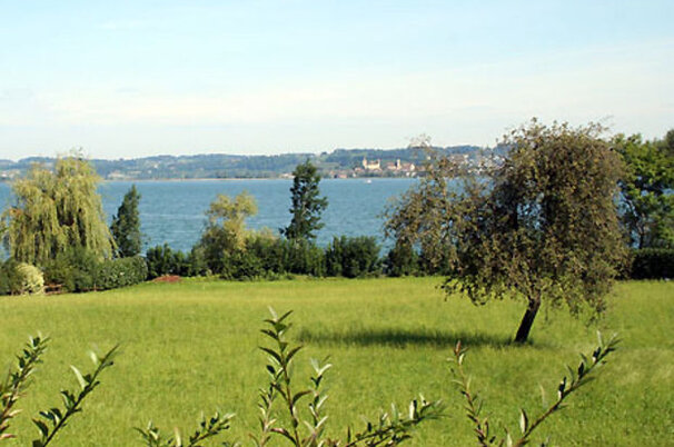 6892_8.jpg