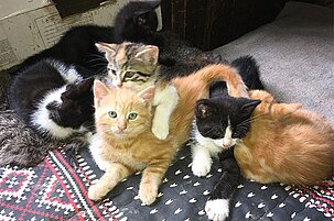 83201_8.jpg