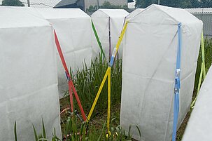 f1ee0b33-cef6-9a07-aea2-077037d56167-31132.jpeg