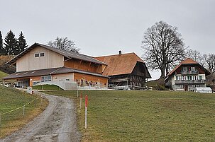 39359_8.jpg
