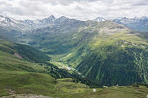 43226_8.jpg