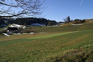 46413_8.jpg