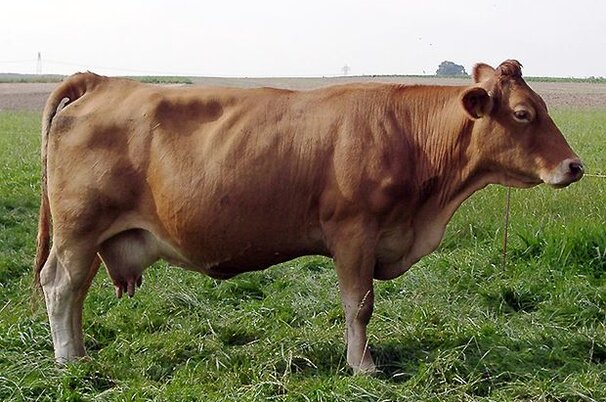 54308_8.jpg