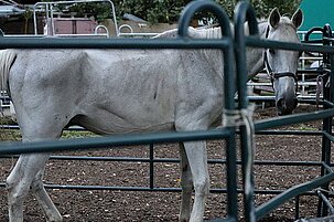 65255_8.jpg