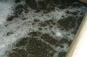 62097_8.jpg